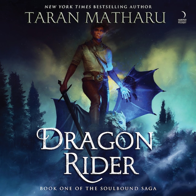 Boekomslag van Dragon Rider