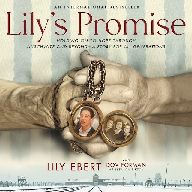 Book cover for Lily's Promise