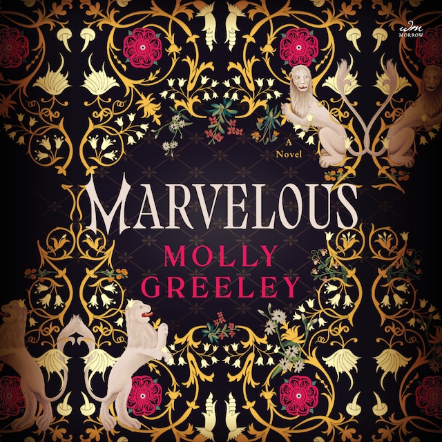 Book cover for Marvelous