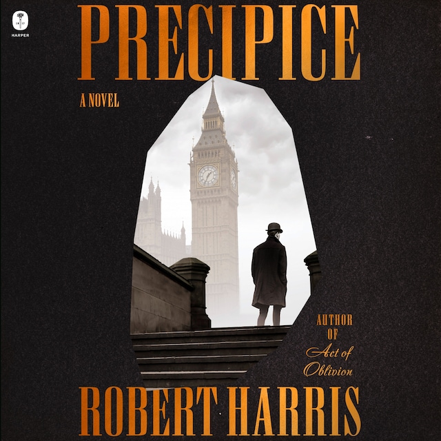 Book cover for Precipice