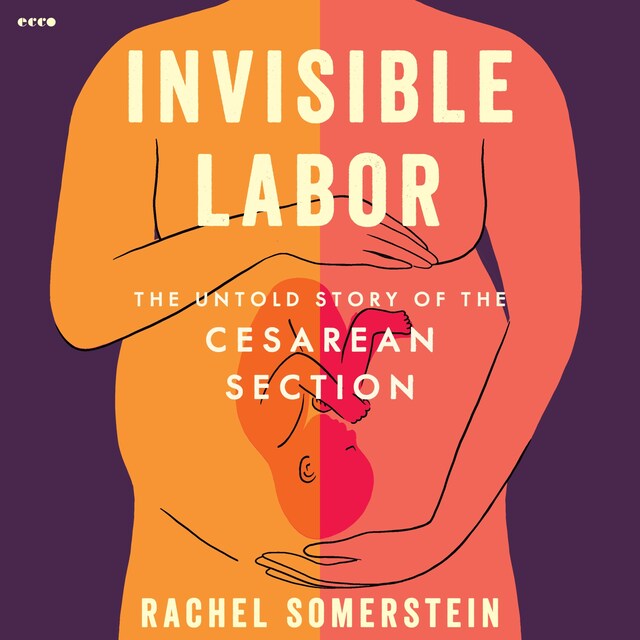 Book cover for Invisible Labor