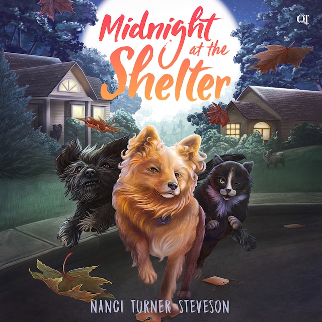 Book cover for Midnight at the Shelter