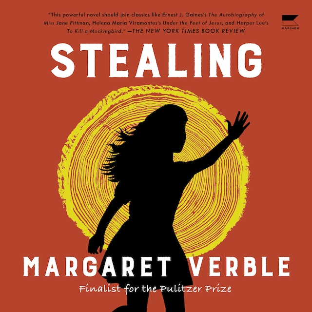 Book cover for Stealing