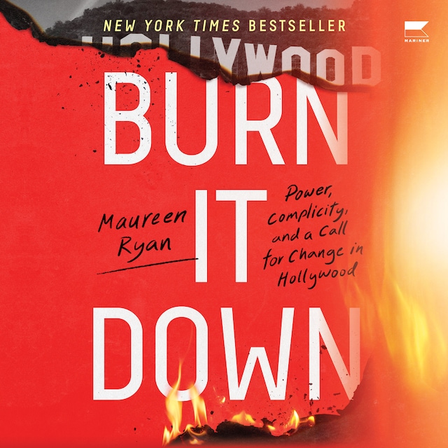 Copertina del libro per Burn It Down
