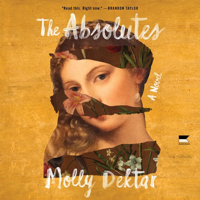 Book cover for The Absolutes