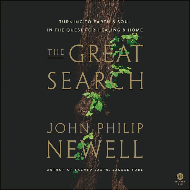 Book cover for The Great Search