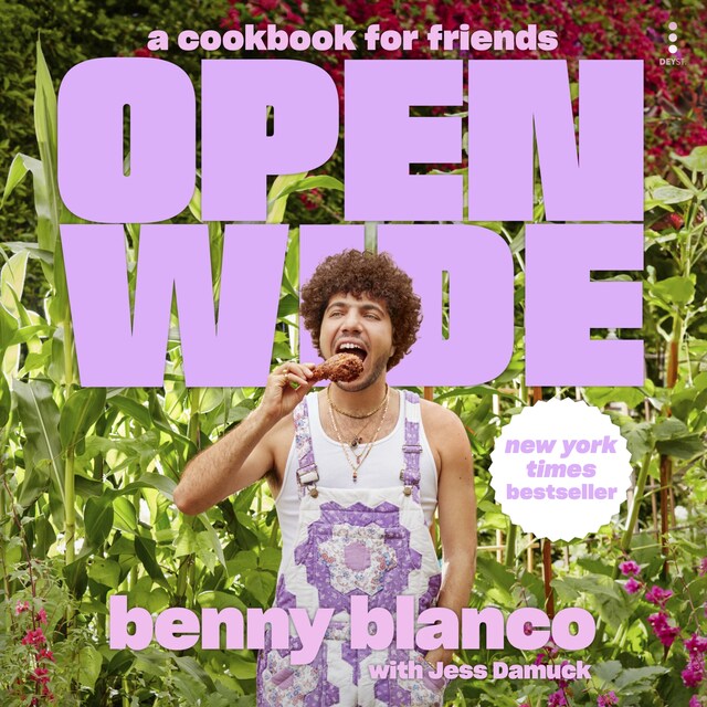 Book cover for Open Wide