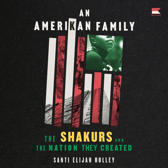Buchcover für An Amerikan Family