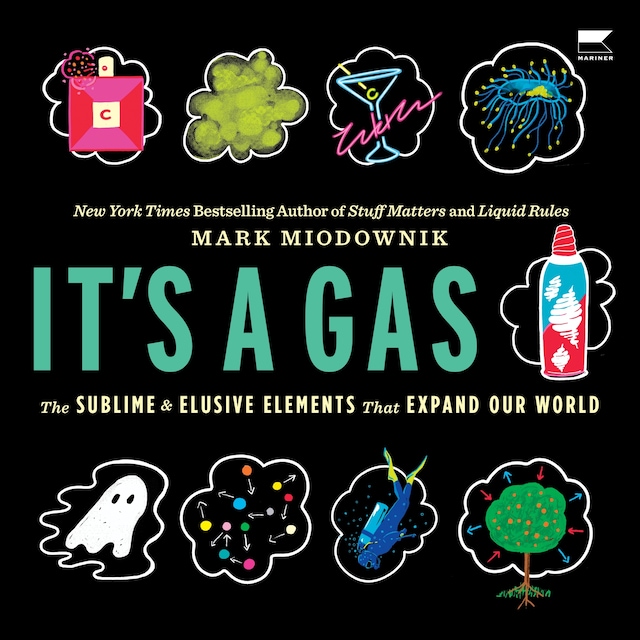 Book cover for It's a Gas