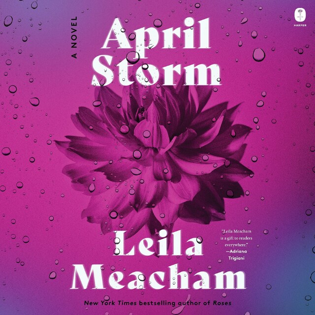 Book cover for April Storm