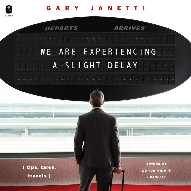 Book cover for We Are Experiencing a Slight Delay