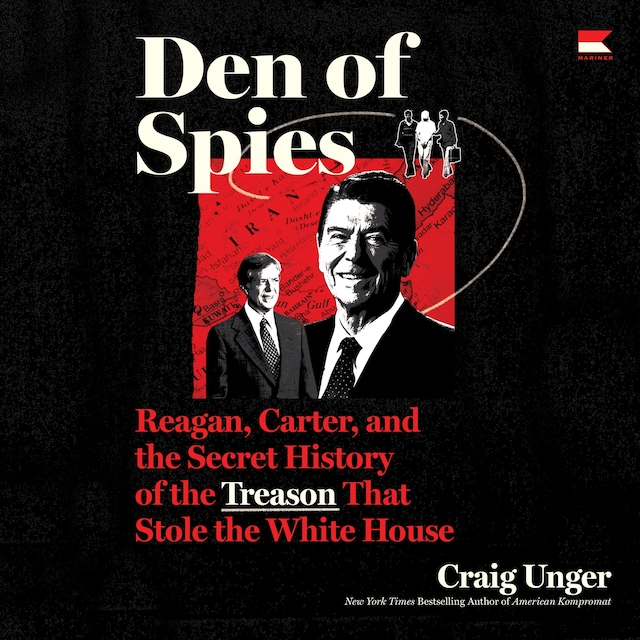 Boekomslag van Den of Spies