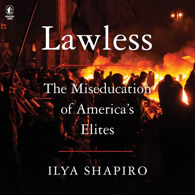 Copertina del libro per Lawless