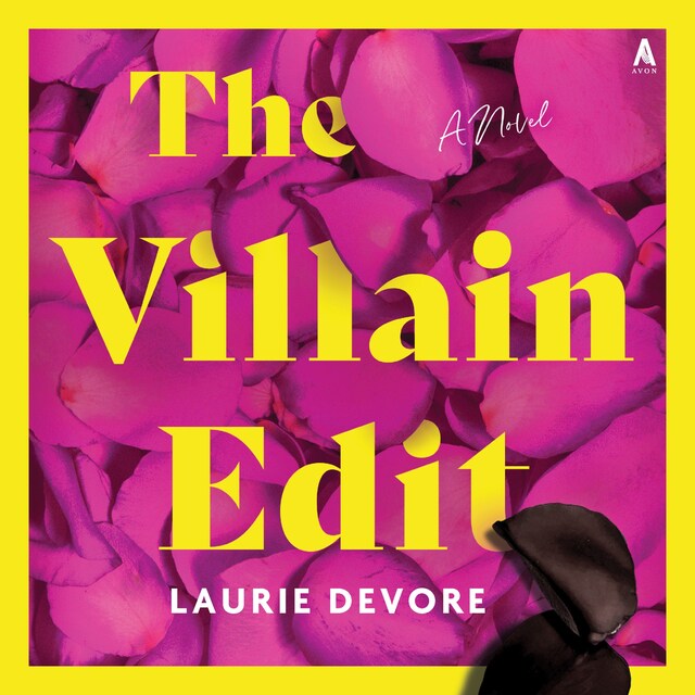 Book cover for The Villain Edit