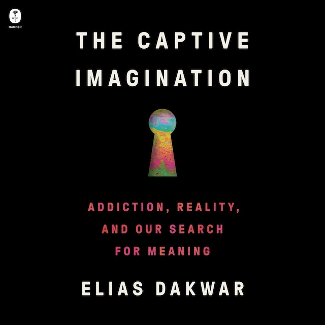 Book cover for The Captive Imagination
