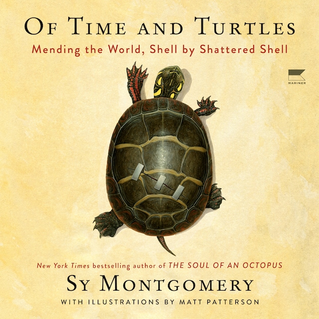 Copertina del libro per Of Time and Turtles