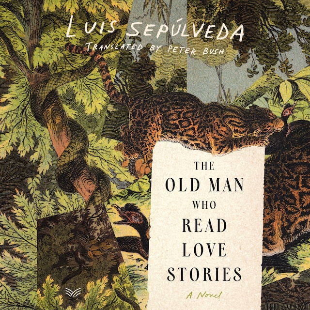 Copertina del libro per The Old Man Who Read Love Stories