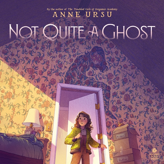 Book cover for Not Quite a Ghost