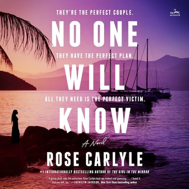 Copertina del libro per No One Will Know