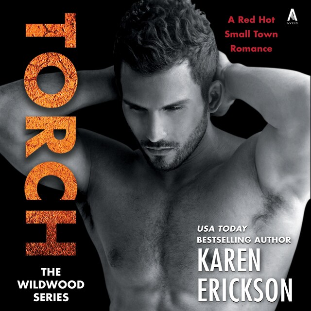 Book cover for Torch