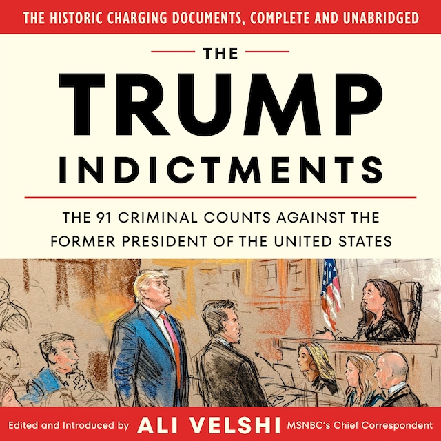Book cover for The Trump Indictments