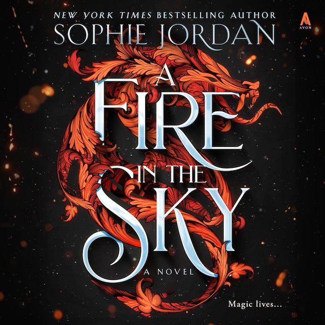 Couverture de livre pour A Fire in the Sky