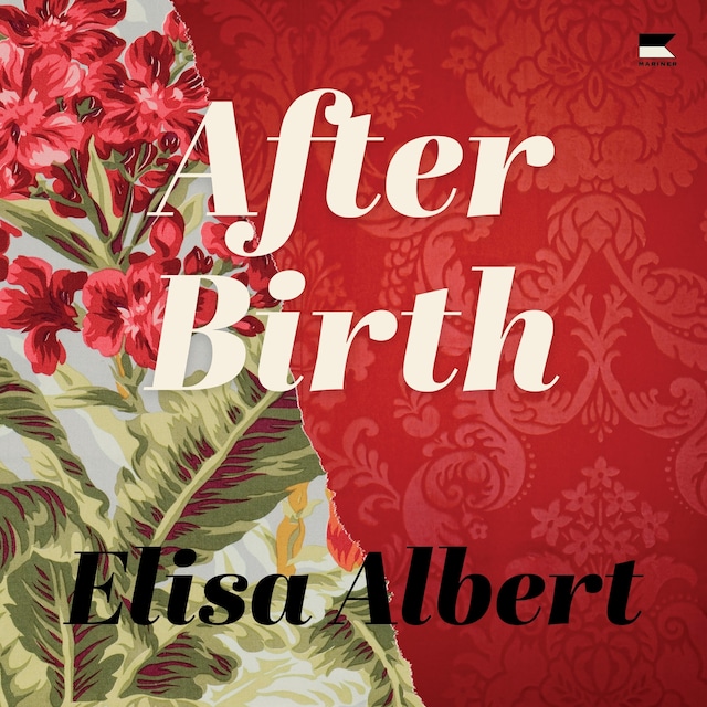 Buchcover für After Birth