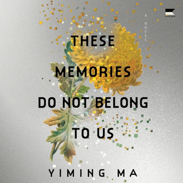 Bogomslag for These Memories Do Not Belong to Us