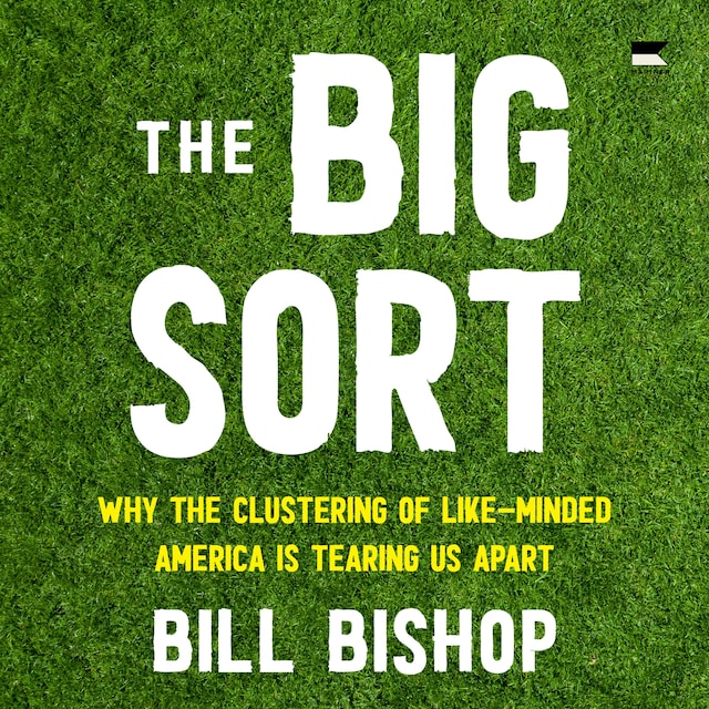 Book cover for The Big Sort