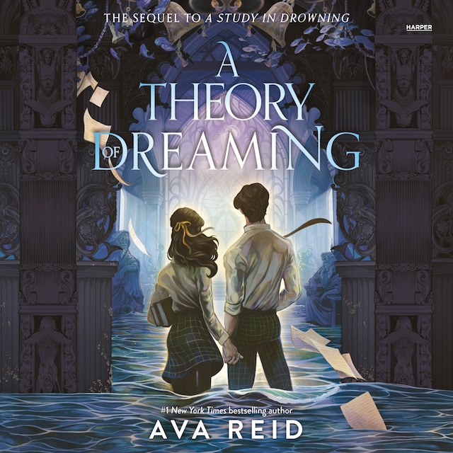 Book cover for A Theory of Dreaming