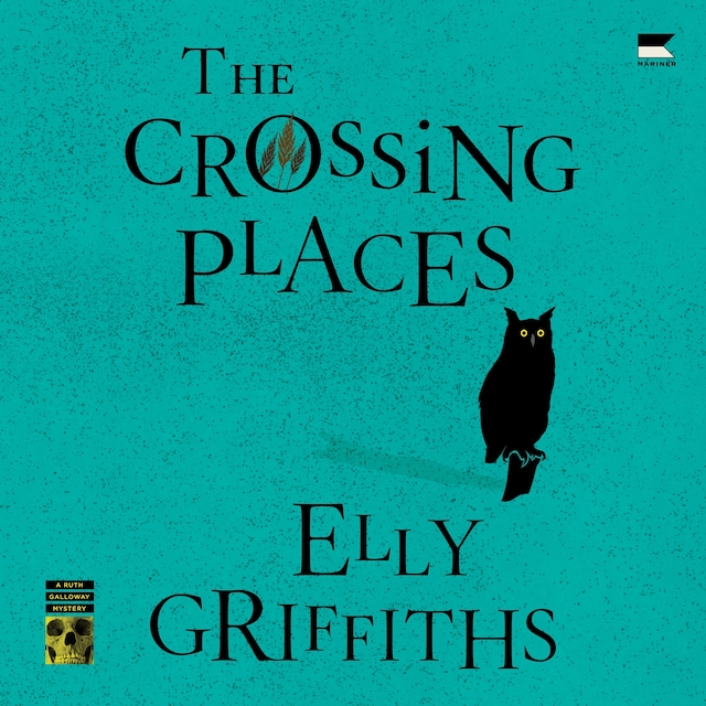 Book cover for The Crossing Places