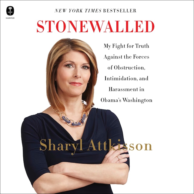 Book cover for Stonewalled
