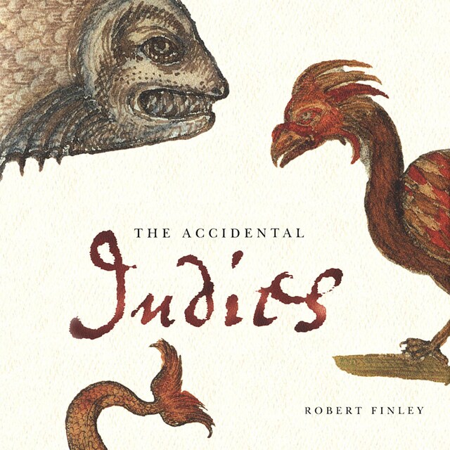 Book cover for The Accidental Indies