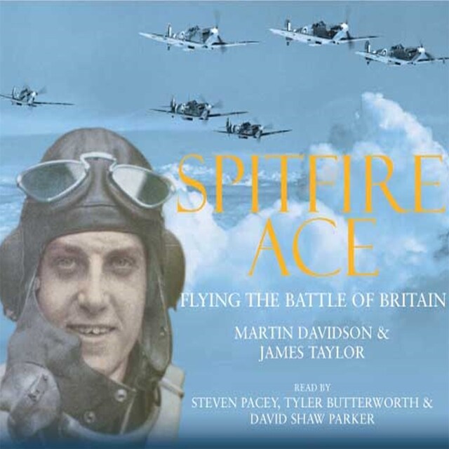 Book cover for Spitfire Ace