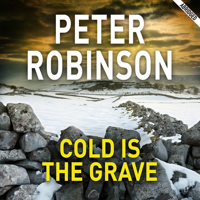 Book cover for Cold is the Grave