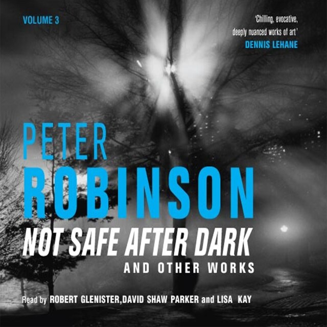 Bogomslag for Not Safe After Dark Volume Three