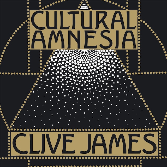 Book cover for Cultural Amnesia