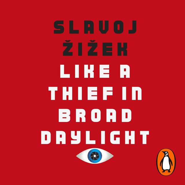 Book cover for Like A Thief In Broad Daylight