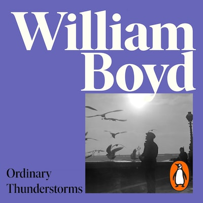 Ordinary Thunderstorms