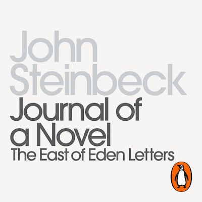 Journal of a Novel