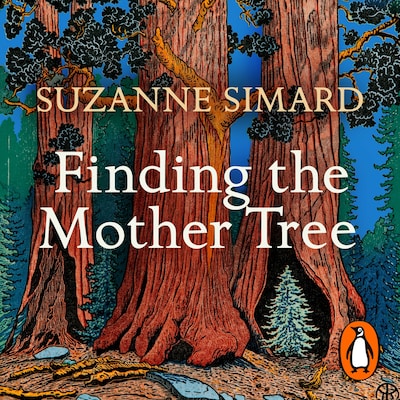 Finding the Mother Tree