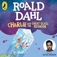 Charlie and the Great Glass Elevator