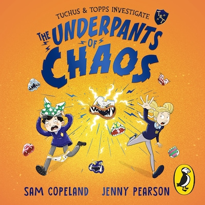 The Underpants of Chaos