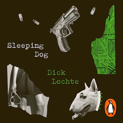 Sleeping Dog