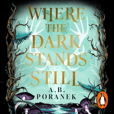 Where the Dark Stands Still