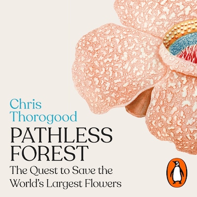 Pathless Forest
