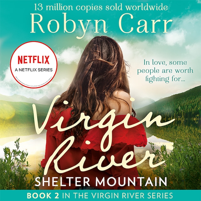 Book cover for Shelter Mountain