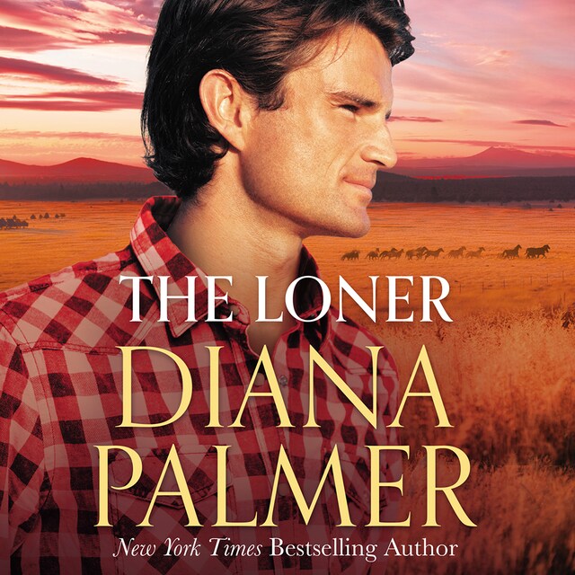 Book cover for The Loner