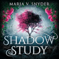 Shadow Study