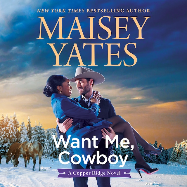 Book cover for Want Me, Cowboy